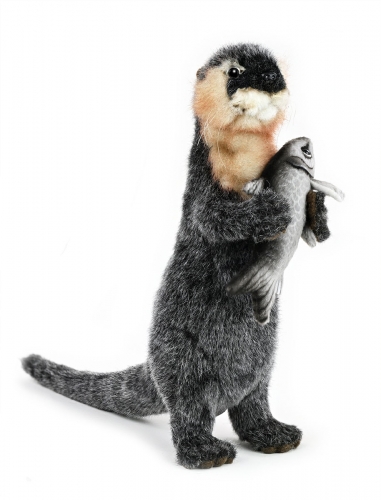 Fischotter aufwartend 24 cm